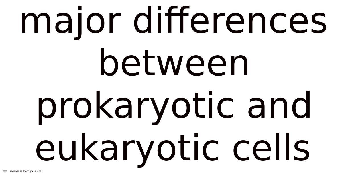 Major Differences Between Prokaryotic And Eukaryotic Cells