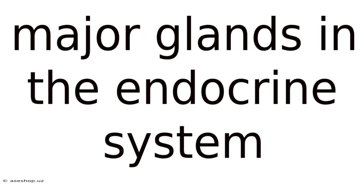 Major Glands In The Endocrine System
