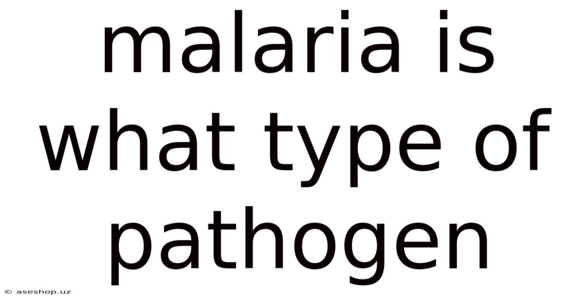 Malaria Is What Type Of Pathogen