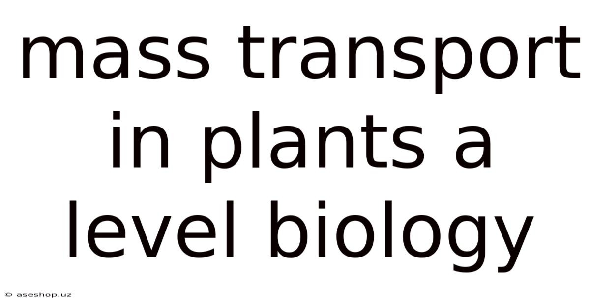 Mass Transport In Plants A Level Biology
