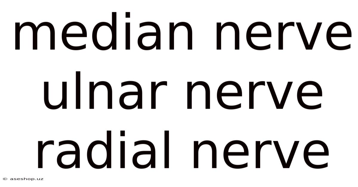Median Nerve Ulnar Nerve Radial Nerve