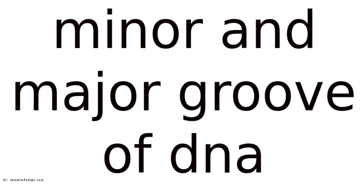 Minor And Major Groove Of Dna