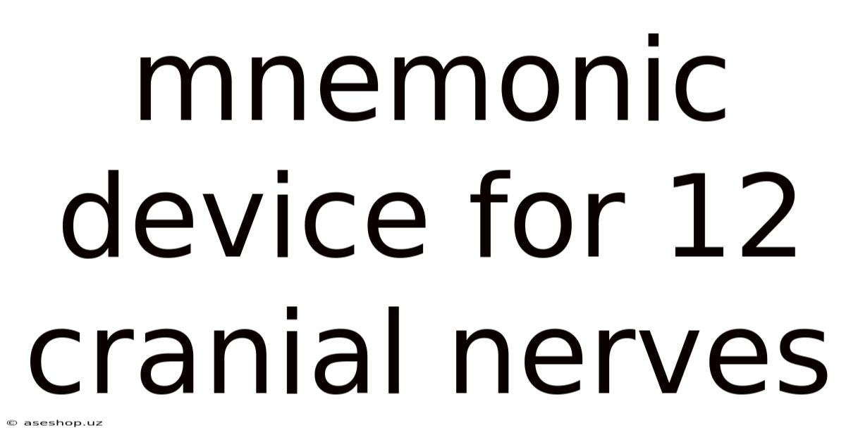 Mnemonic Device For 12 Cranial Nerves