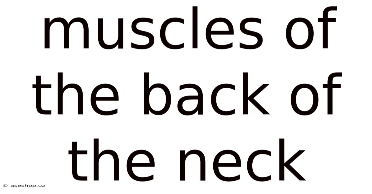 Muscles Of The Back Of The Neck
