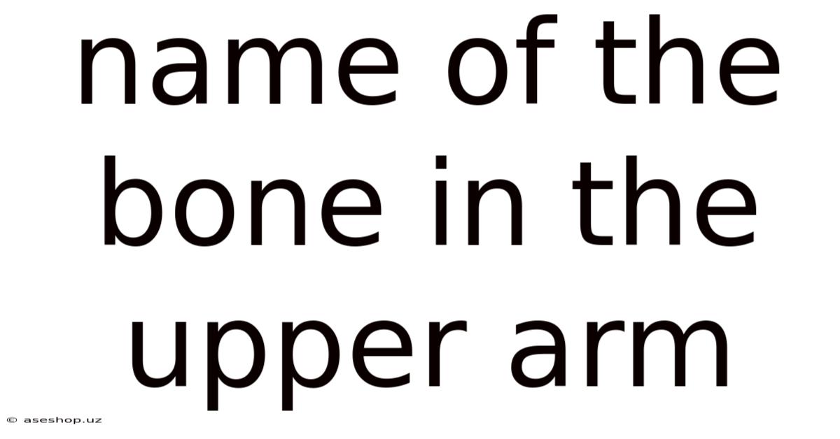 Name Of The Bone In The Upper Arm