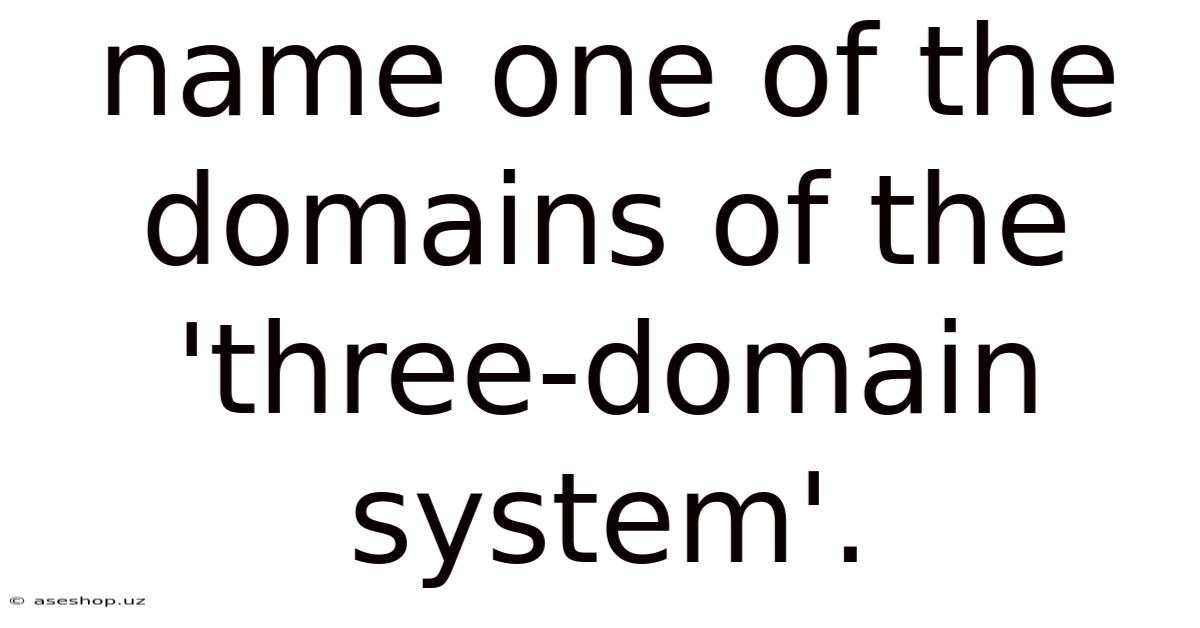 Name One Of The Domains Of The 'three-domain System'.