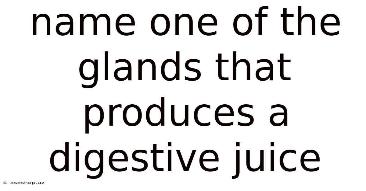 Name One Of The Glands That Produces A Digestive Juice