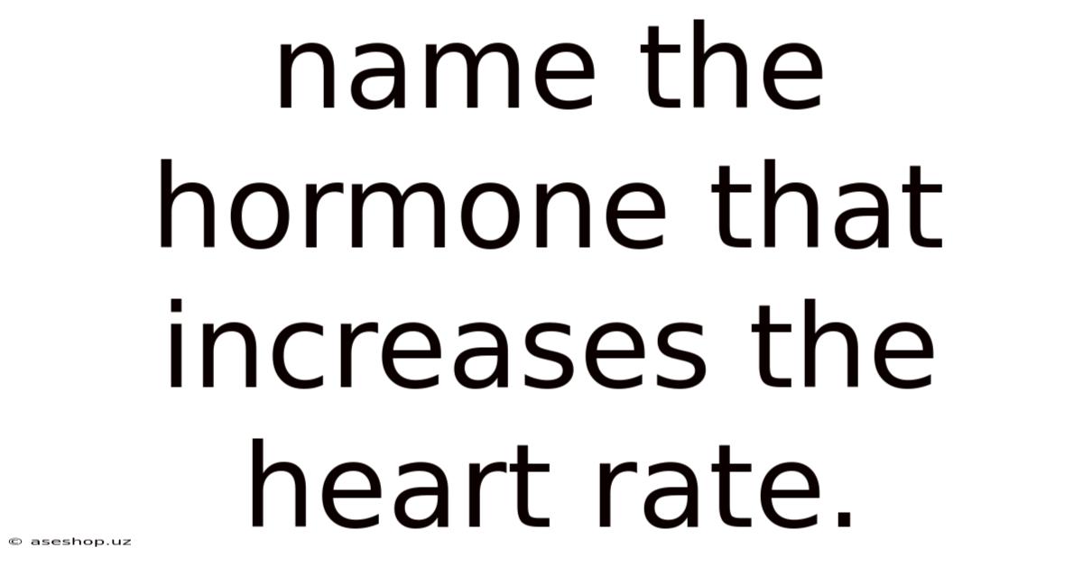 Name The Hormone That Increases The Heart Rate.