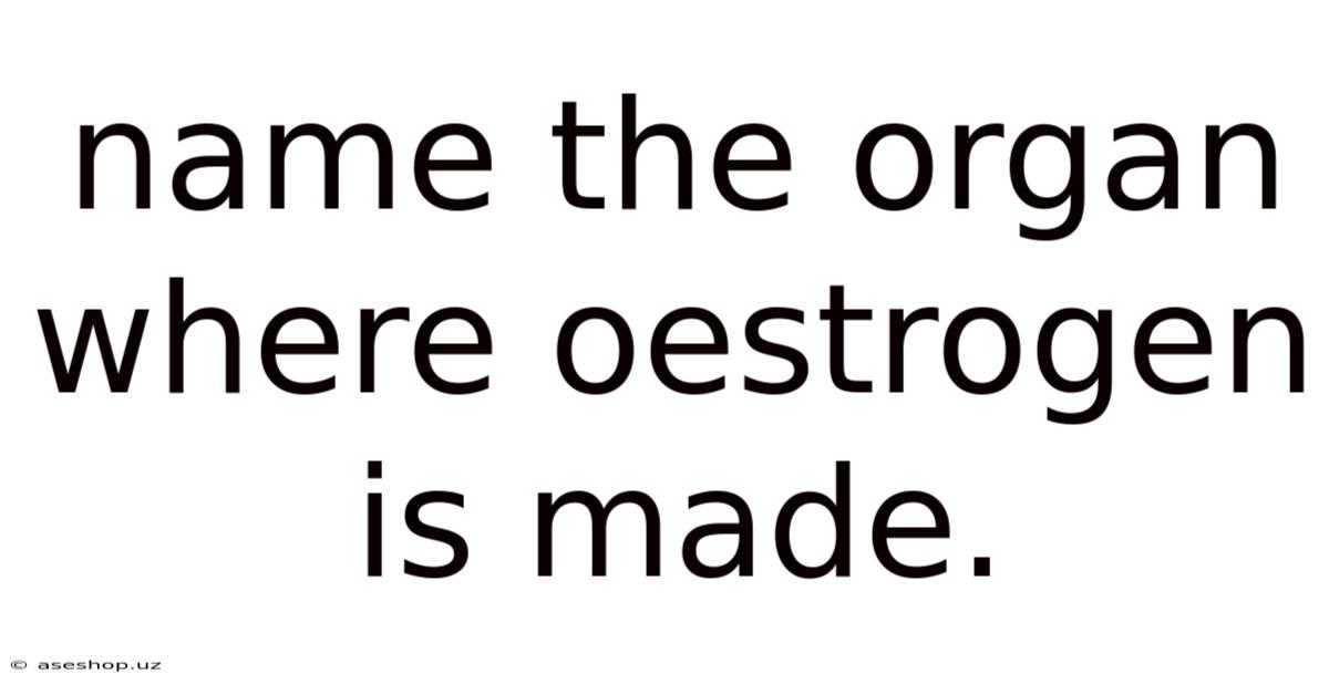 Name The Organ Where Oestrogen Is Made.