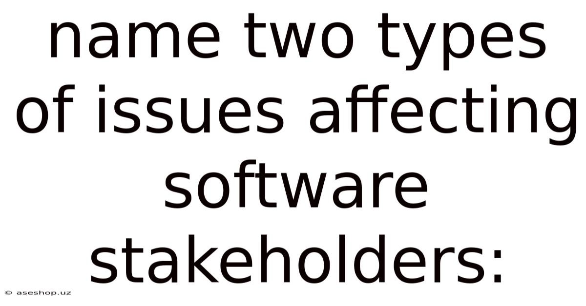 Name Two Types Of Issues Affecting Software Stakeholders: