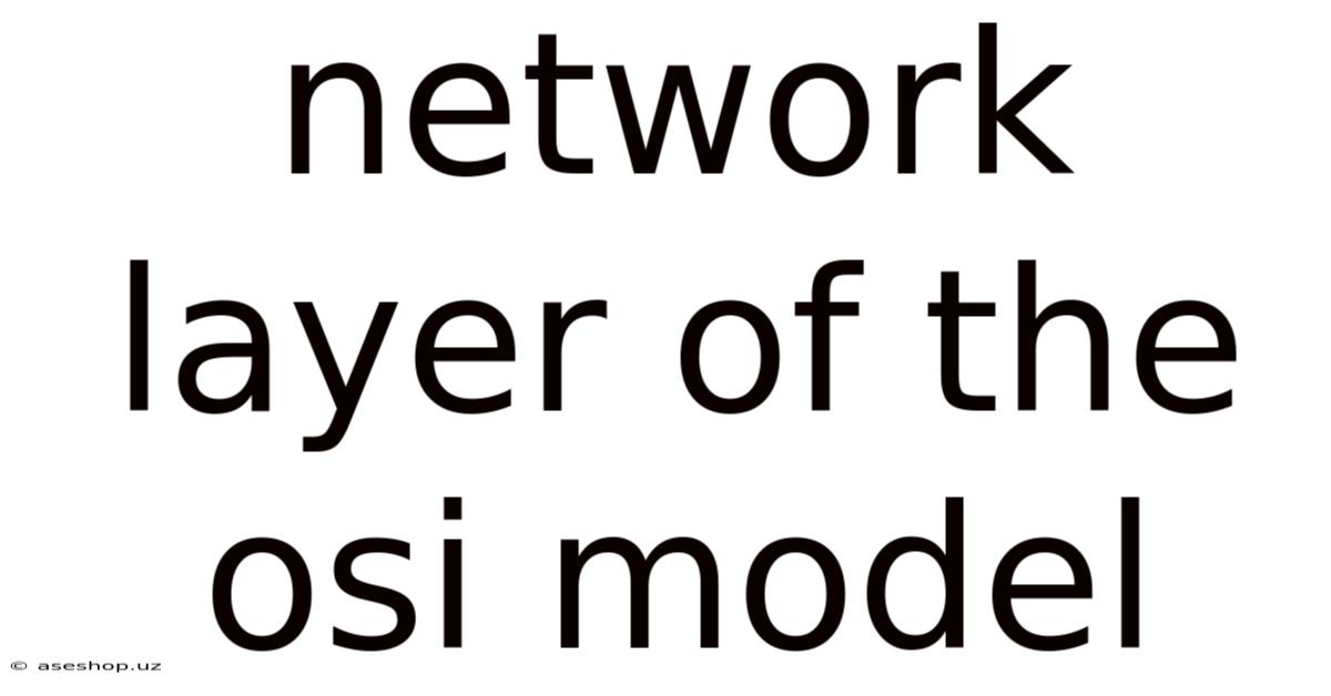 Network Layer Of The Osi Model
