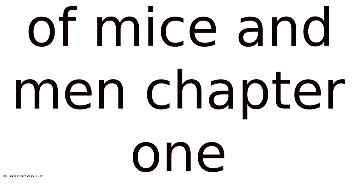 Of Mice And Men Chapter One