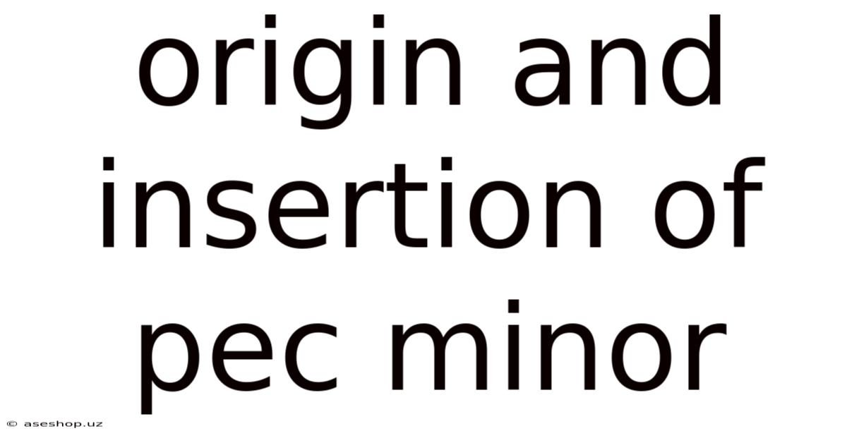 Origin And Insertion Of Pec Minor