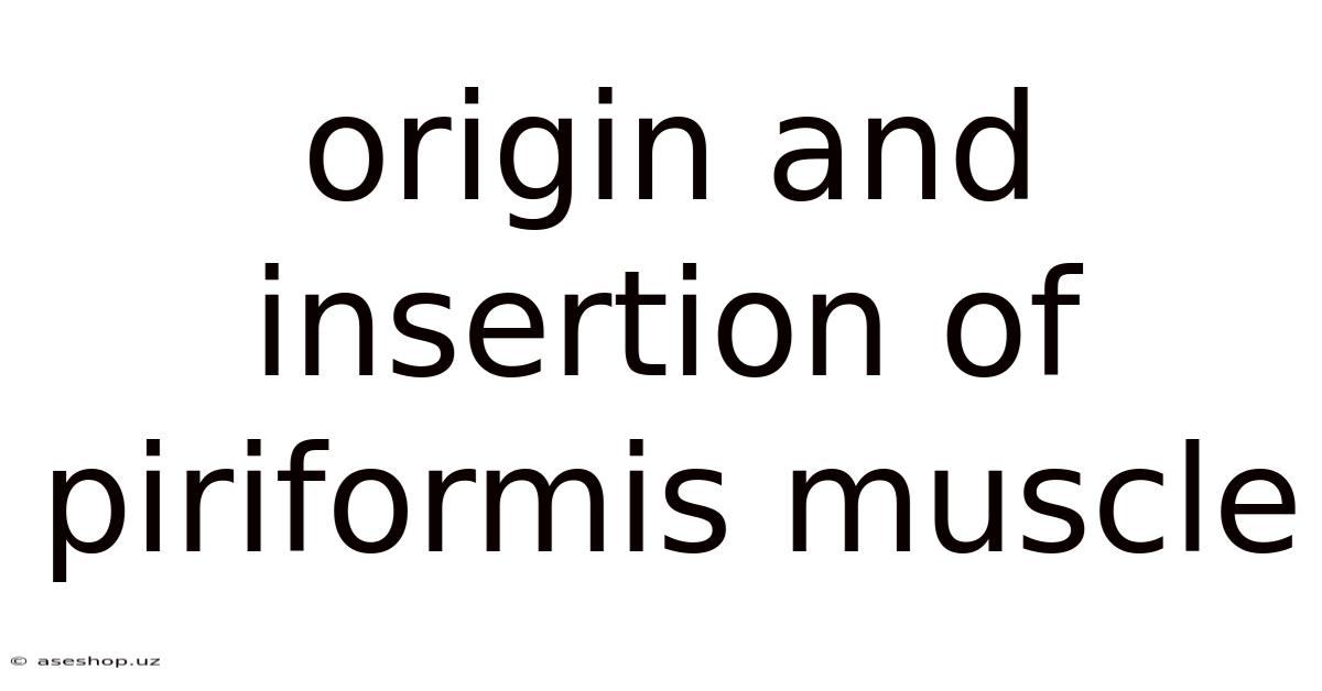 Origin And Insertion Of Piriformis Muscle
