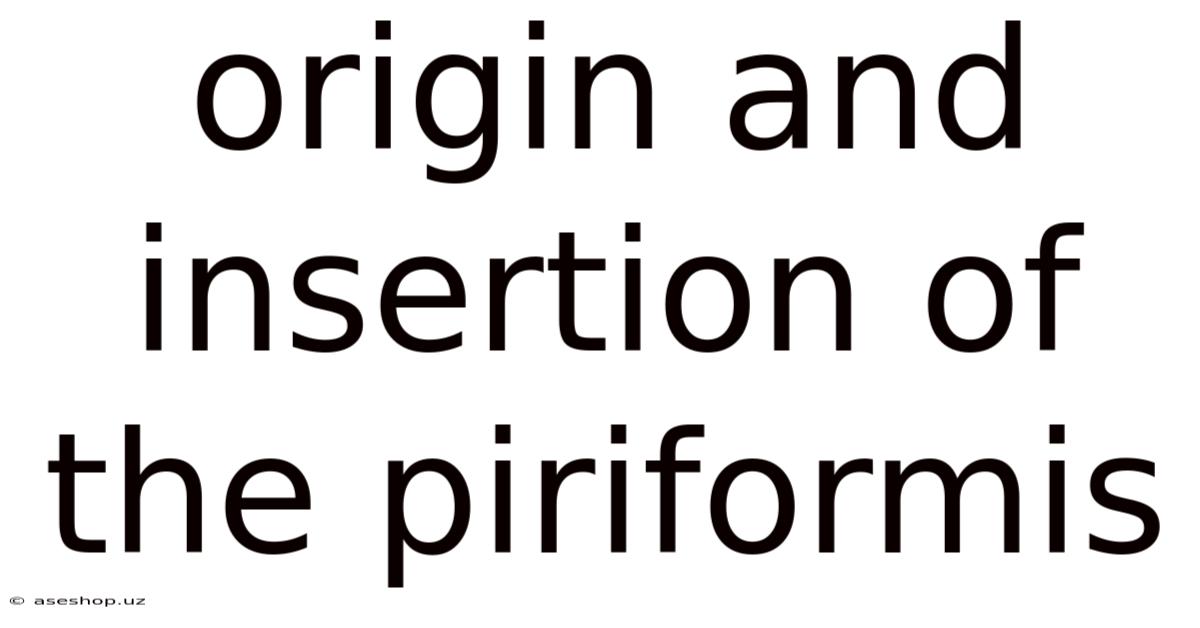Origin And Insertion Of The Piriformis