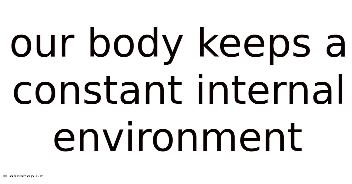 Our Body Keeps A Constant Internal Environment