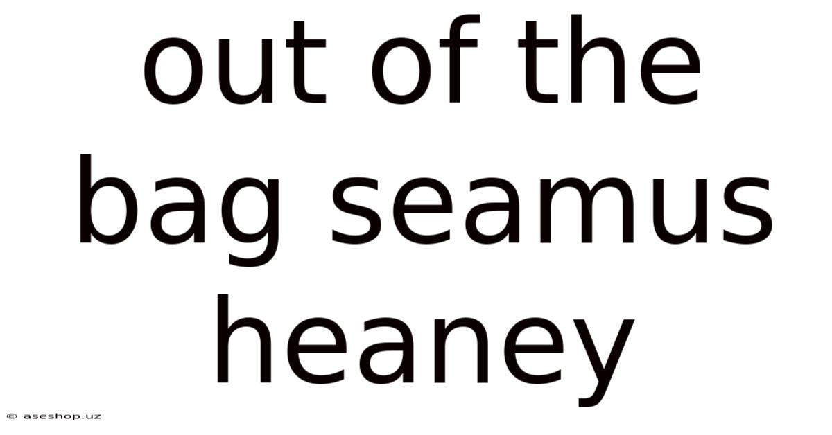 Out Of The Bag Seamus Heaney