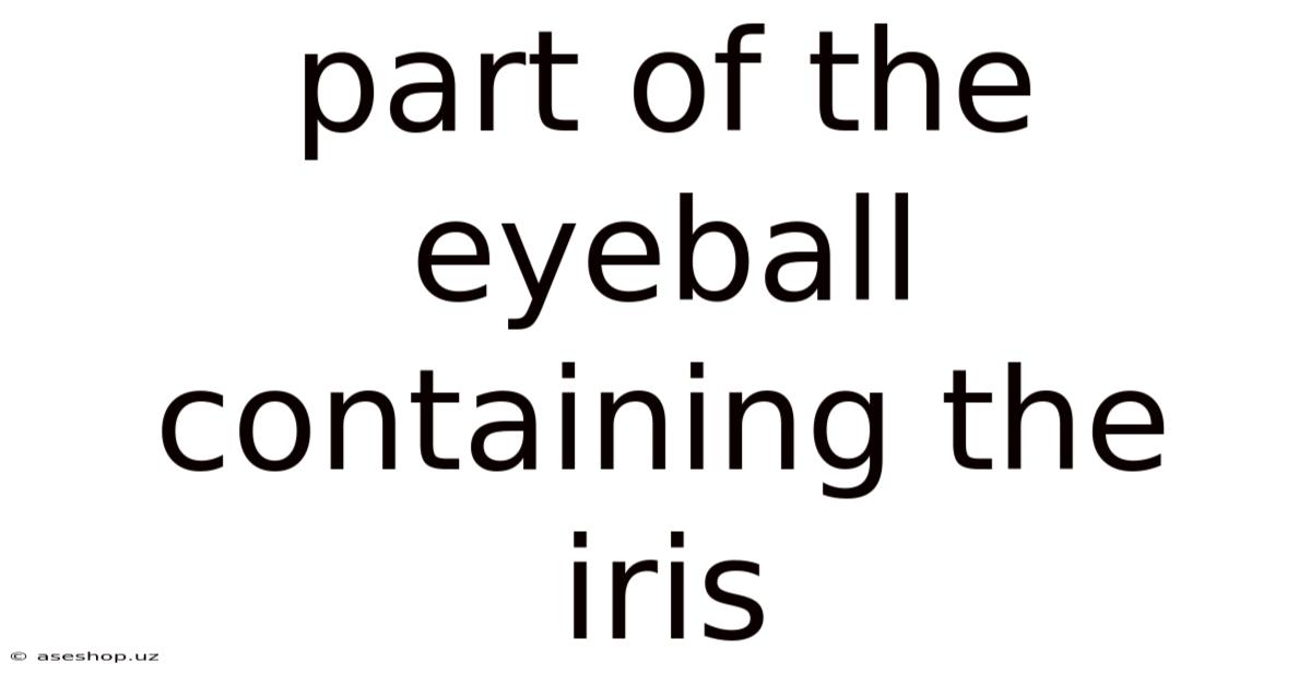 Part Of The Eyeball Containing The Iris