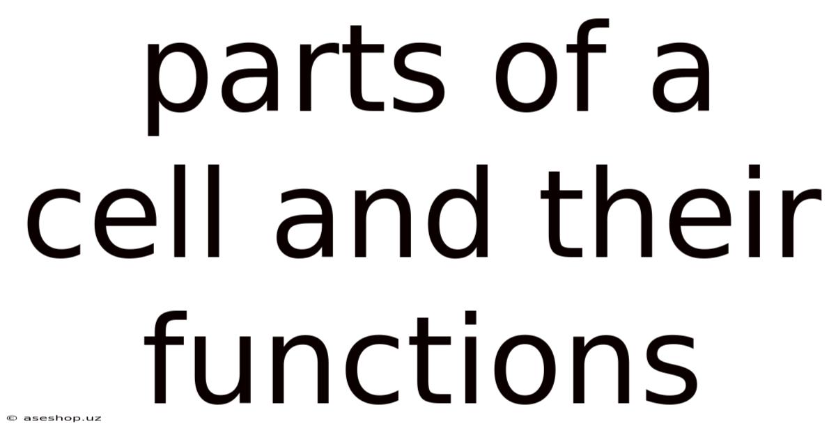 Parts Of A Cell And Their Functions