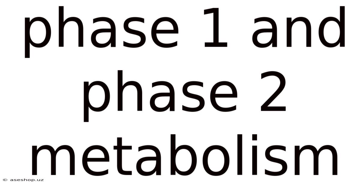 Phase 1 And Phase 2 Metabolism