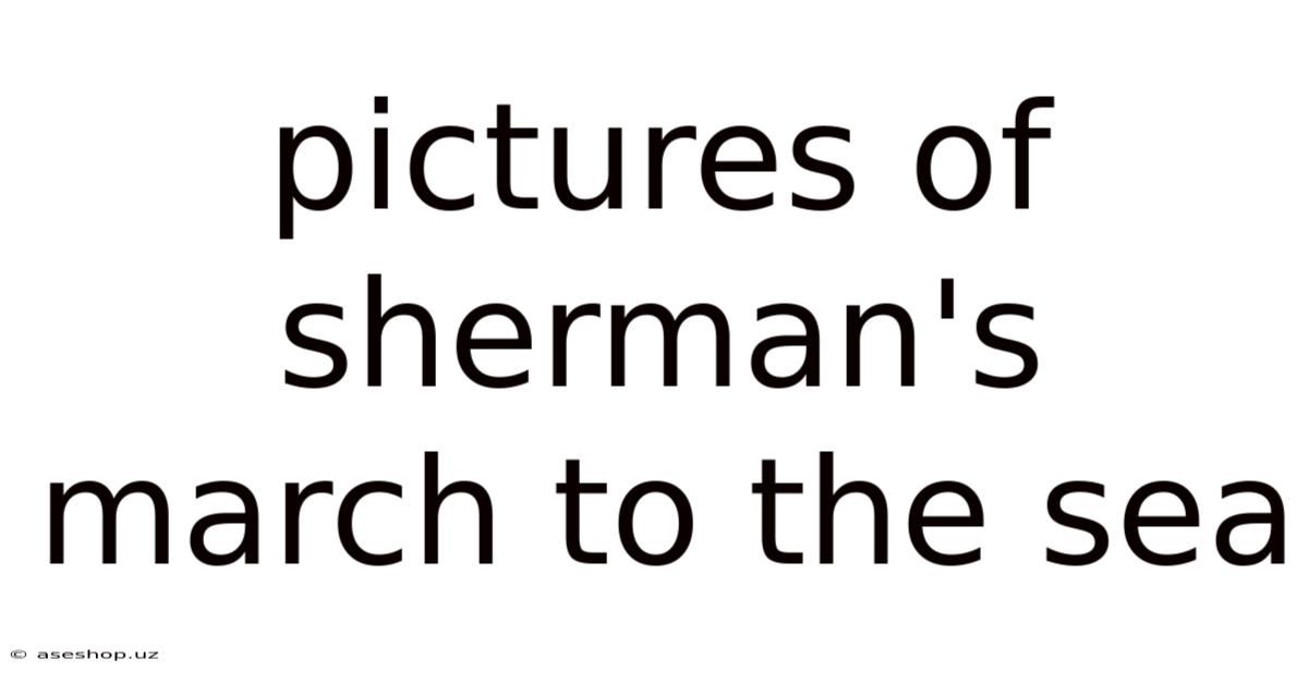 Pictures Of Sherman's March To The Sea