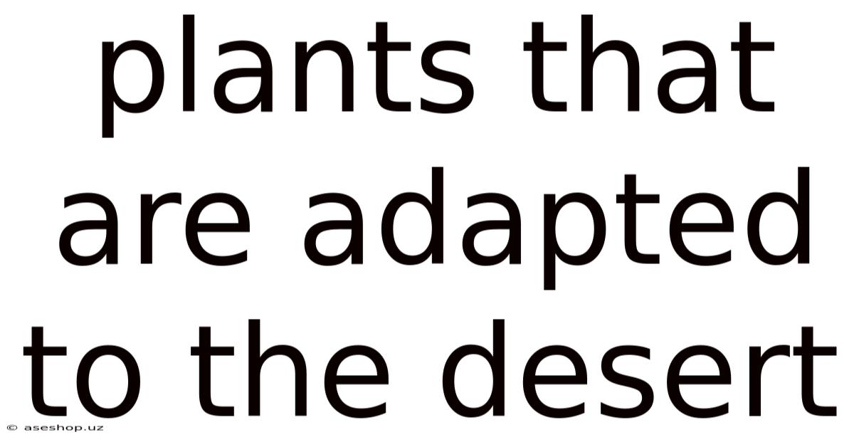 Plants That Are Adapted To The Desert