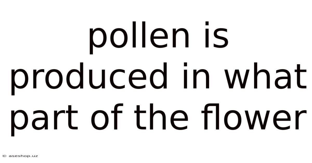 Pollen Is Produced In What Part Of The Flower