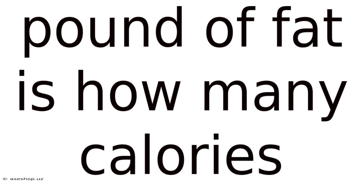 Pound Of Fat Is How Many Calories