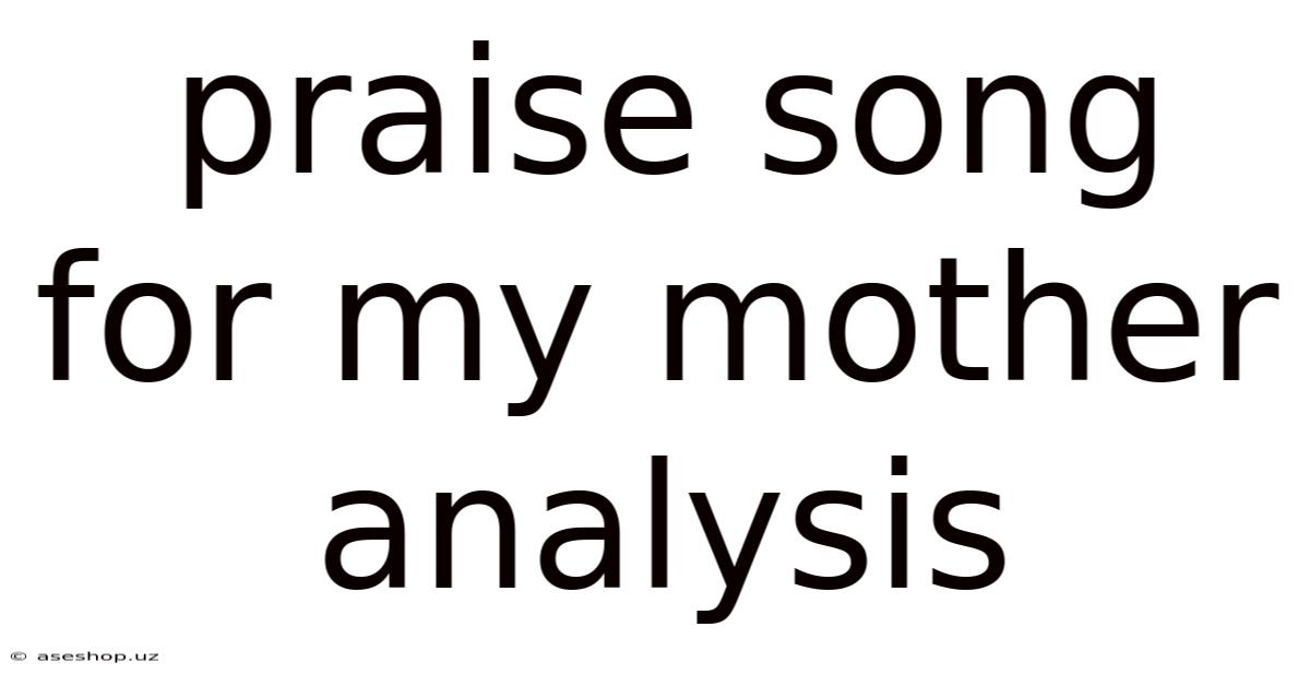 Praise Song For My Mother Analysis