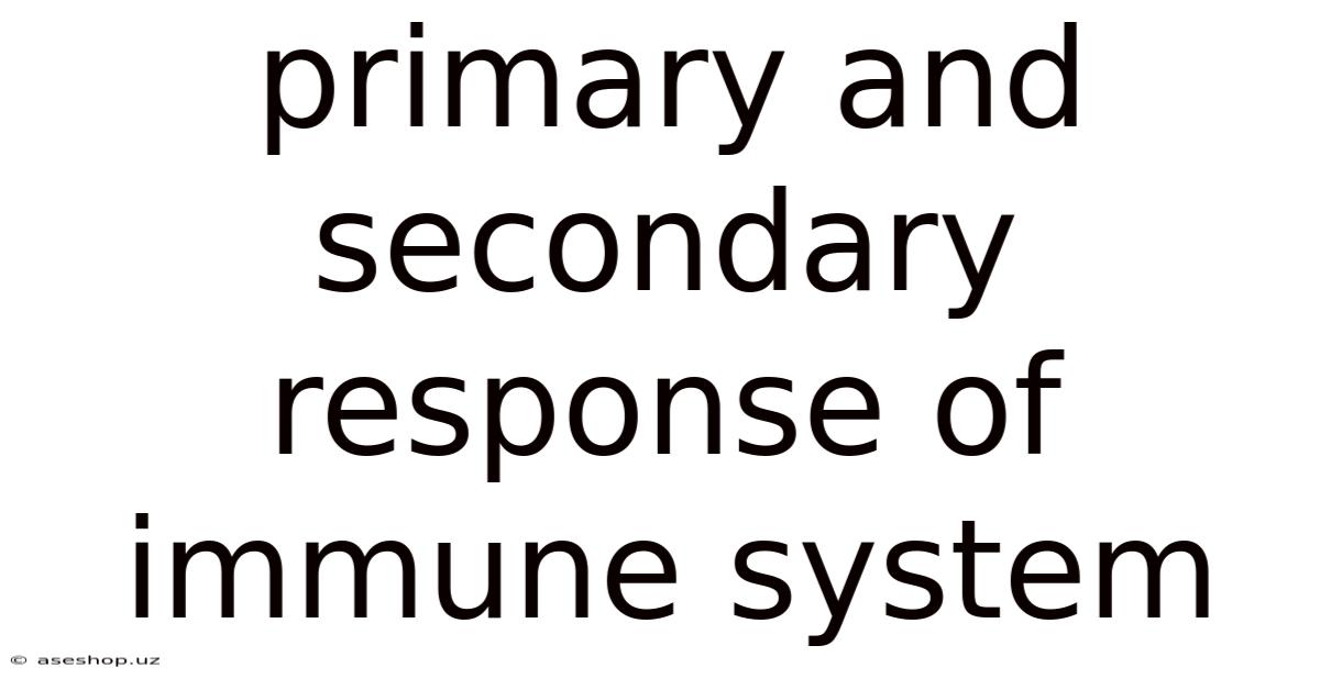 Primary And Secondary Response Of Immune System