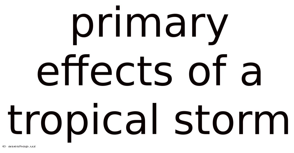 Primary Effects Of A Tropical Storm