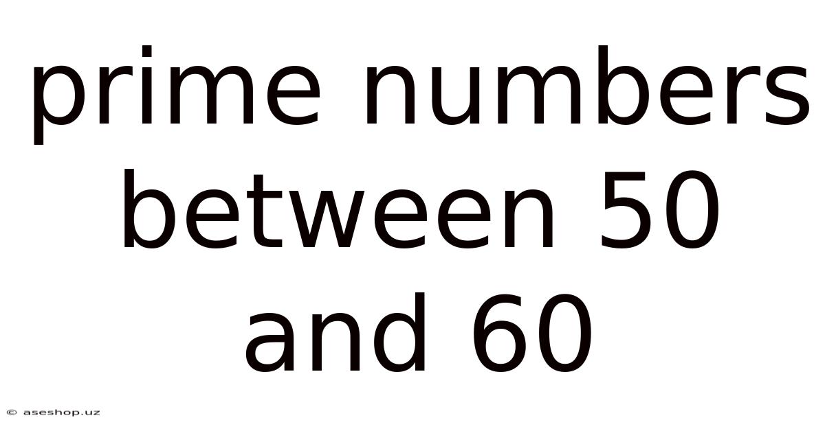 Prime Numbers Between 50 And 60