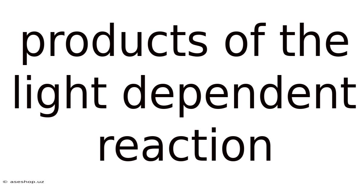 Products Of The Light Dependent Reaction