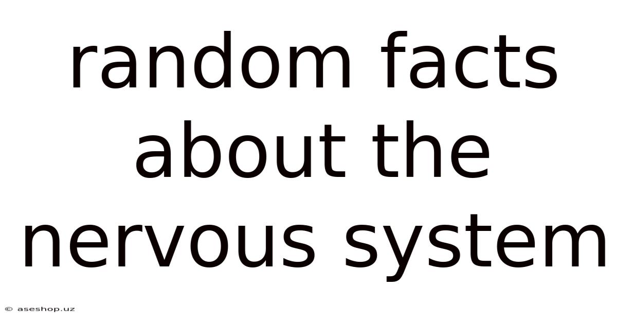 Random Facts About The Nervous System