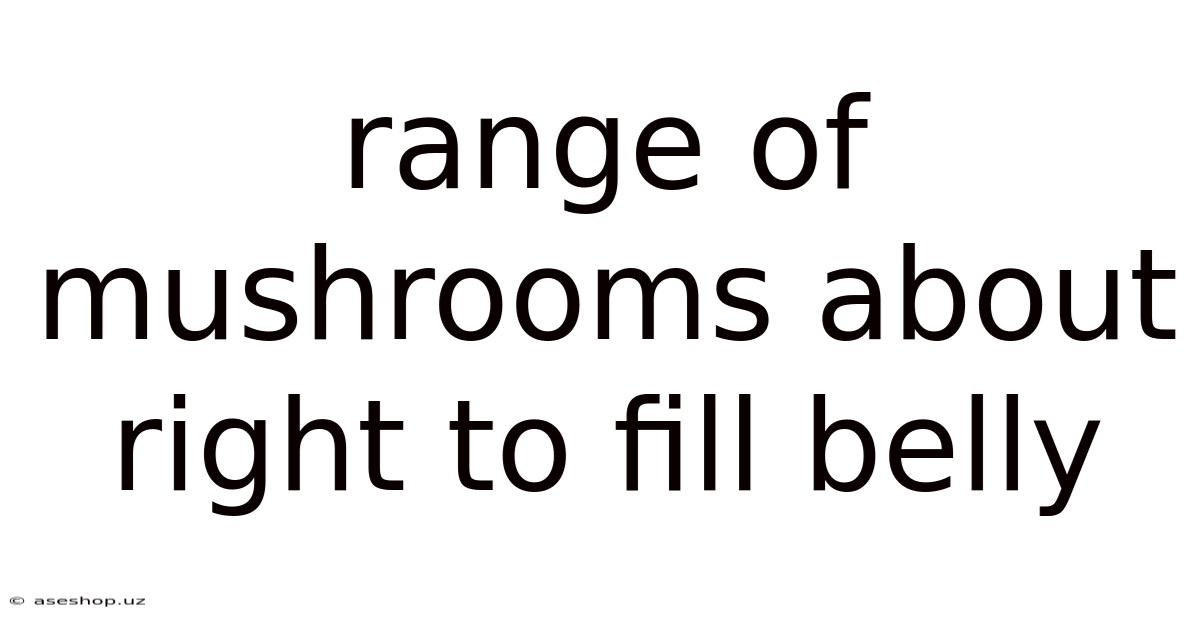Range Of Mushrooms About Right To Fill Belly