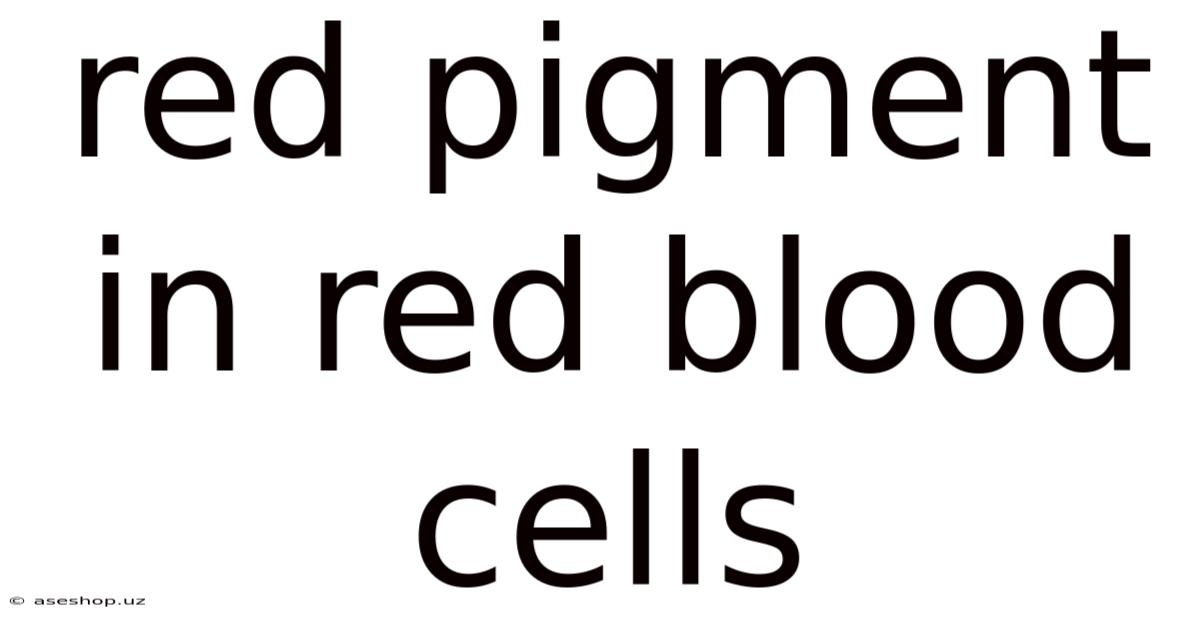 Red Pigment In Red Blood Cells