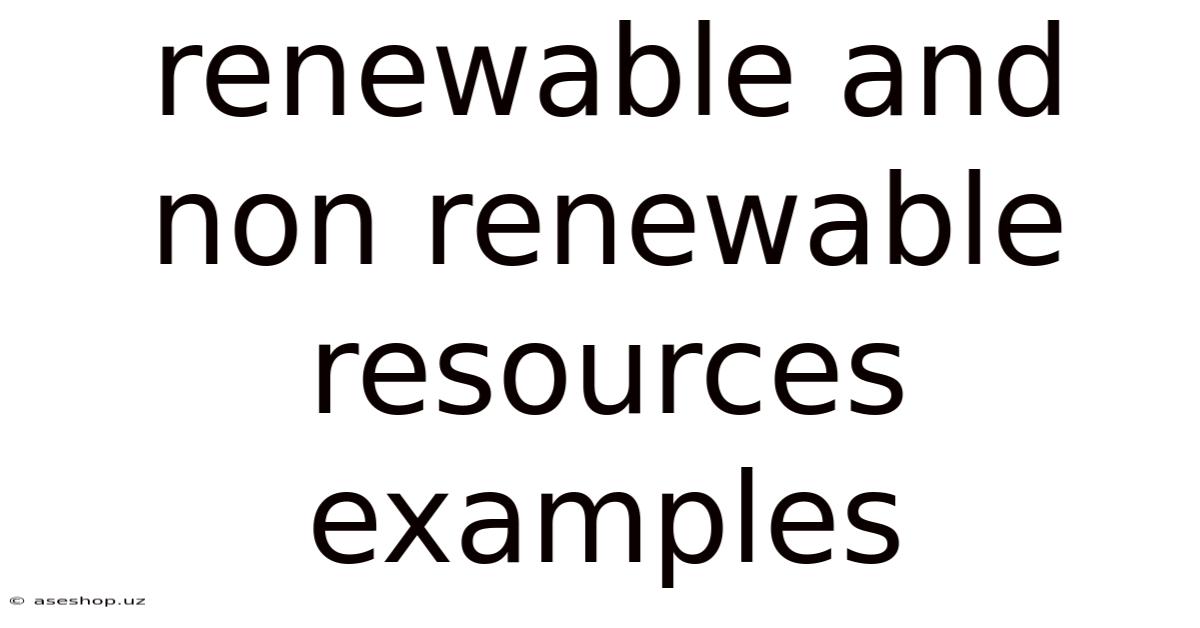 Renewable And Non Renewable Resources Examples