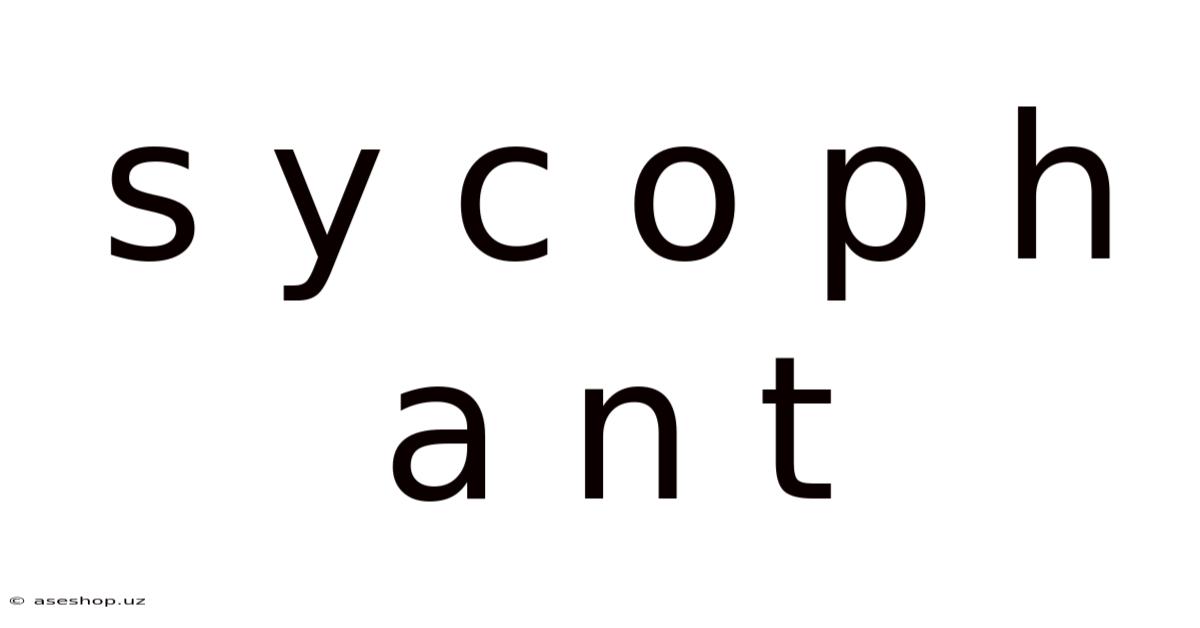 S Y C O P H A N T