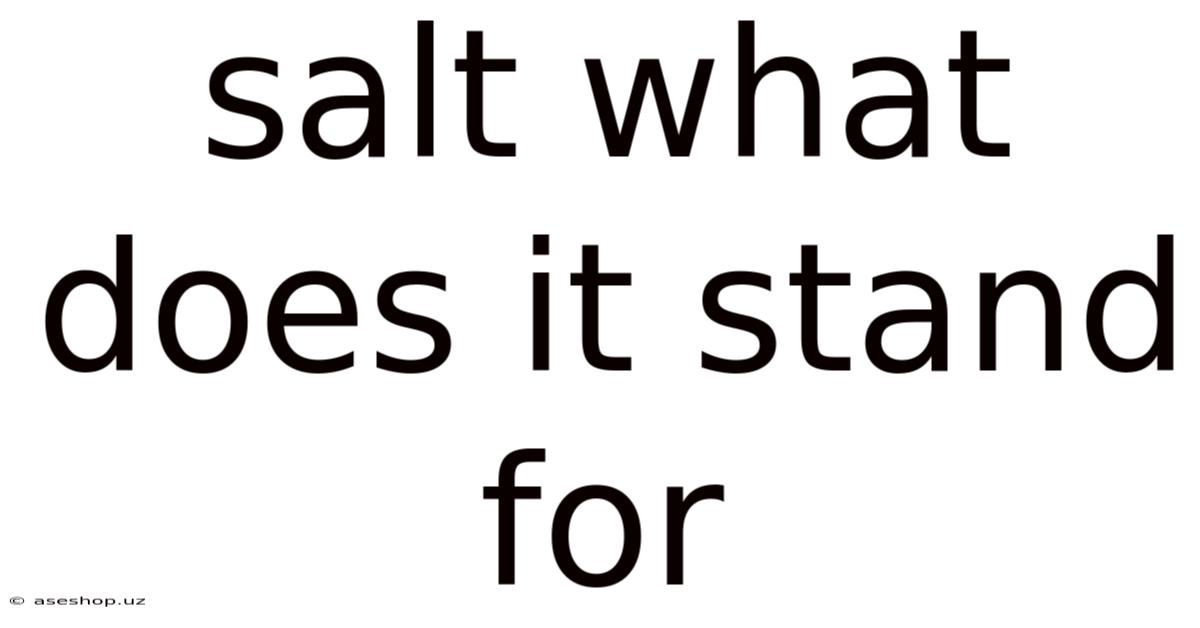 Salt What Does It Stand For