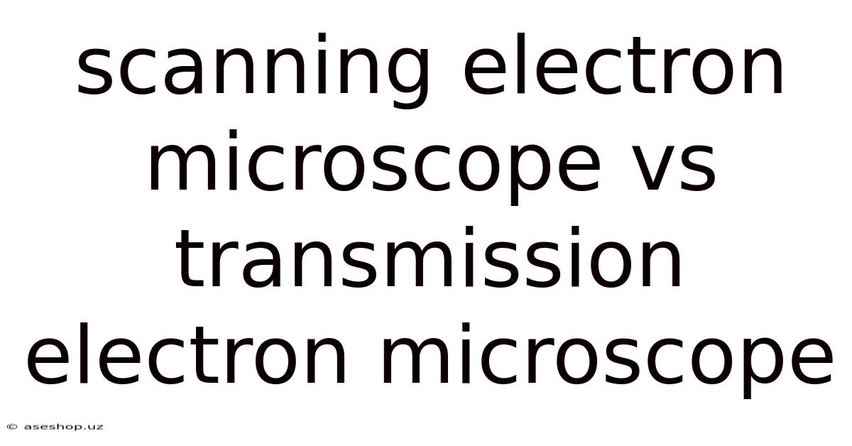 Scanning Electron Microscope Vs Transmission Electron Microscope