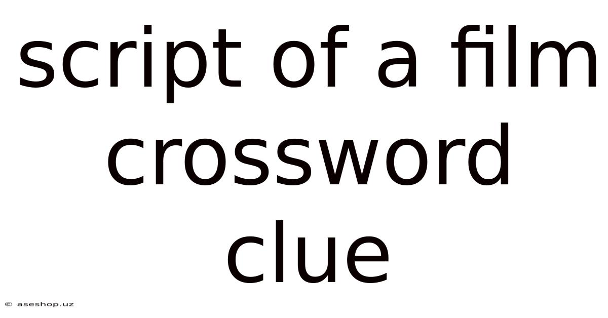 Script Of A Film Crossword Clue