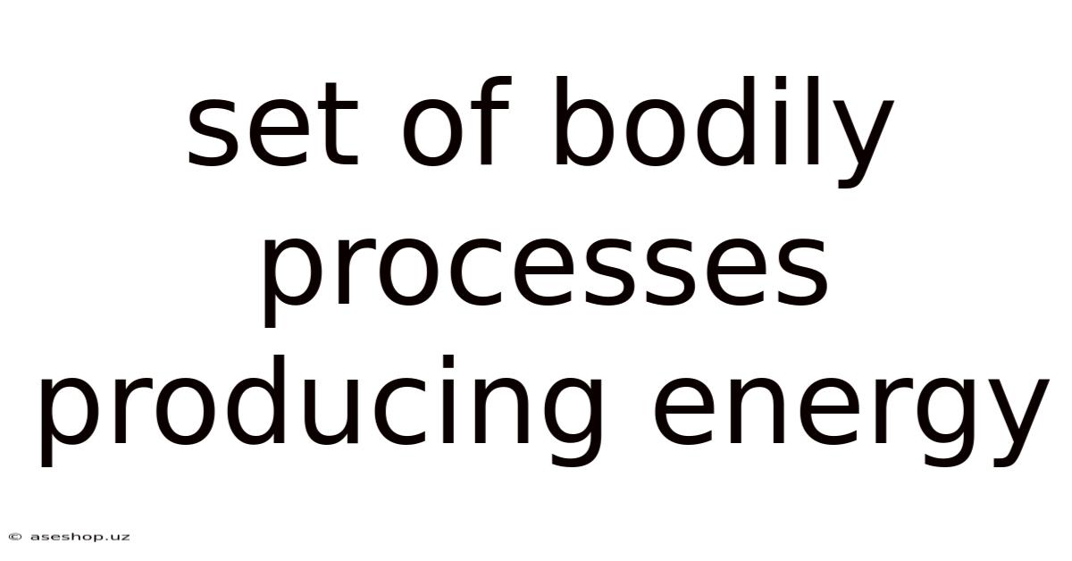 Set Of Bodily Processes Producing Energy