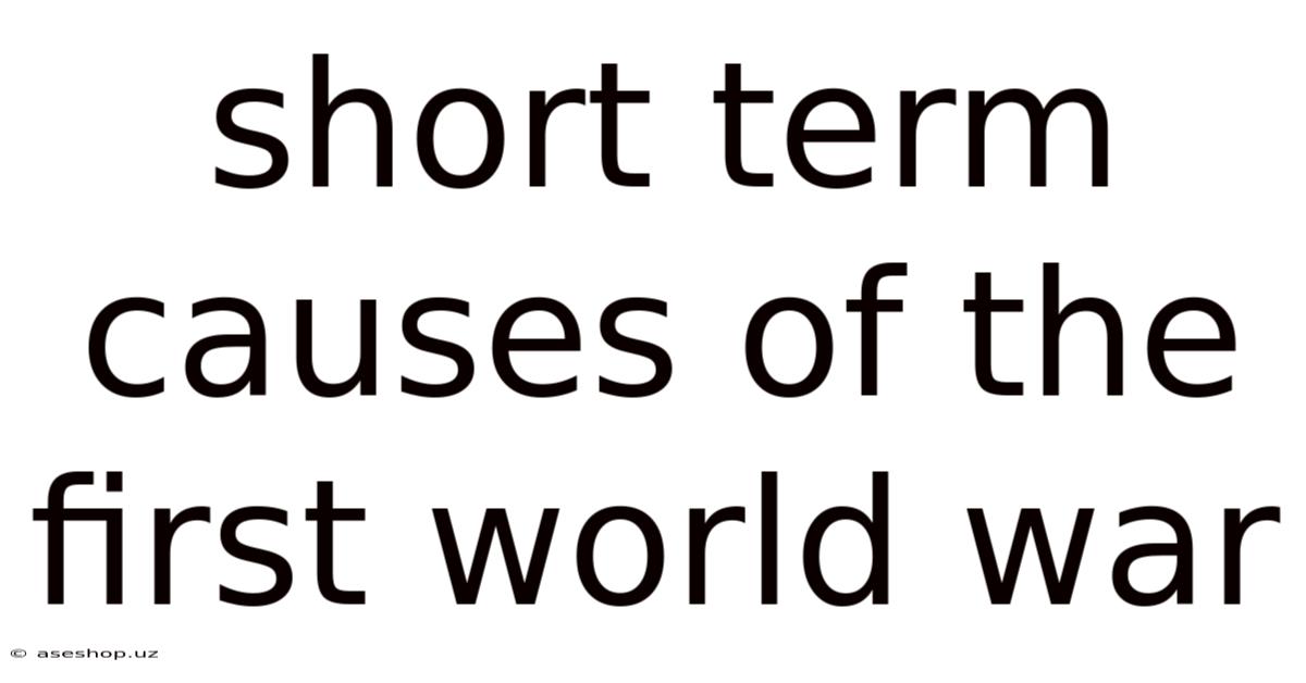 Short Term Causes Of The First World War