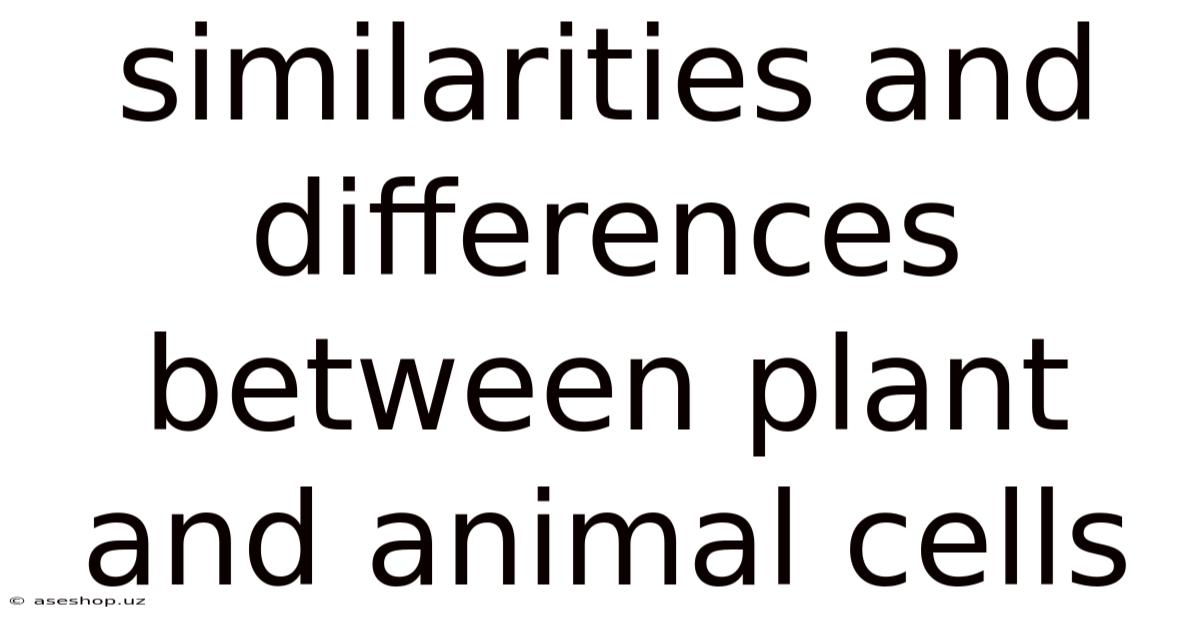 Similarities And Differences Between Plant And Animal Cells
