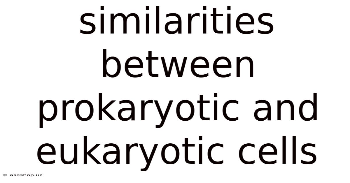 Similarities Between Prokaryotic And Eukaryotic Cells