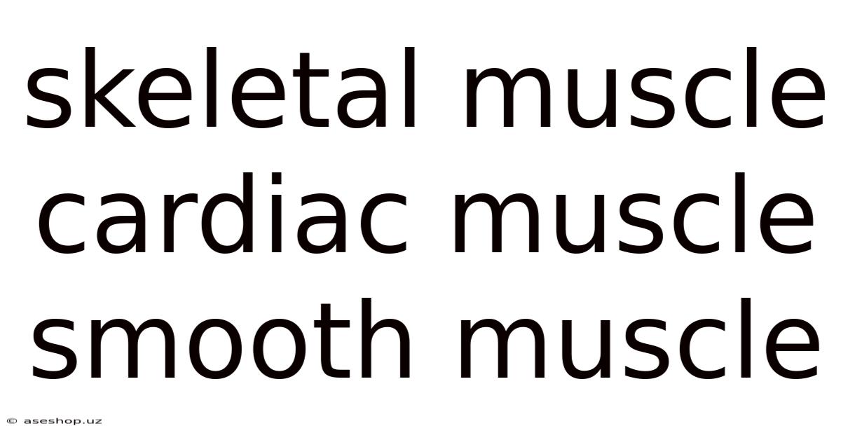 Skeletal Muscle Cardiac Muscle Smooth Muscle