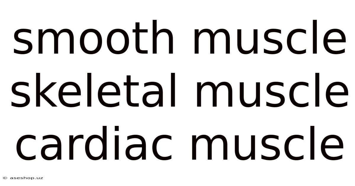 Smooth Muscle Skeletal Muscle Cardiac Muscle
