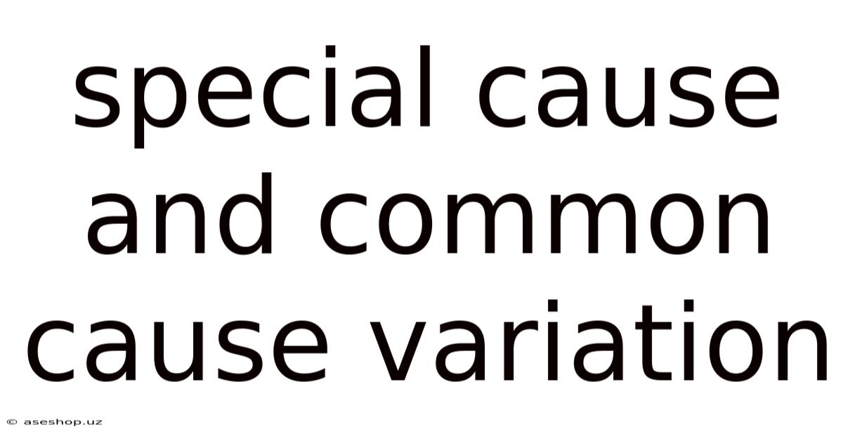 Special Cause And Common Cause Variation