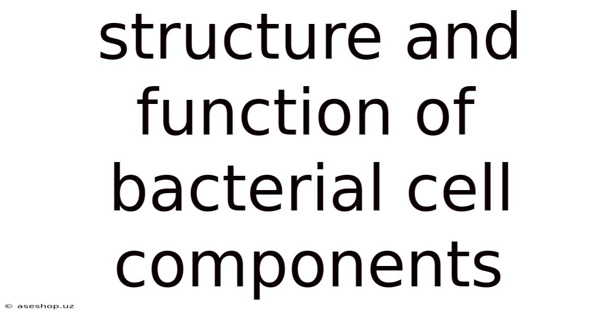 Structure And Function Of Bacterial Cell Components