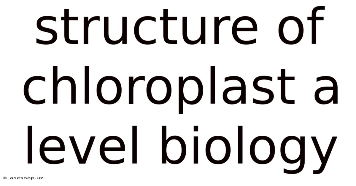 Structure Of Chloroplast A Level Biology